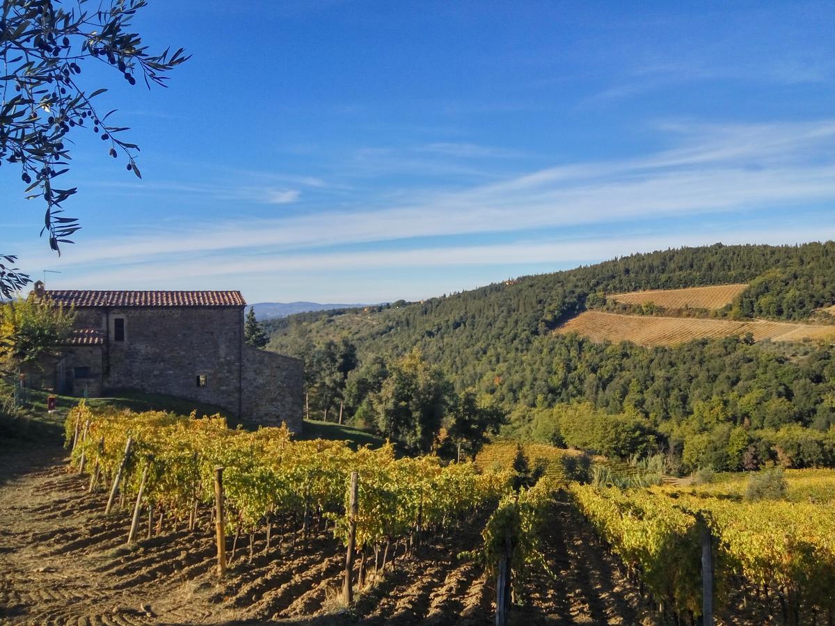 Agriturismo Piemaggino Castellina in Chianti Exteriér fotografie
