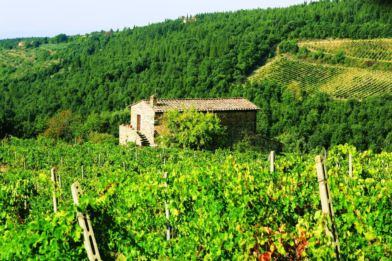 Agriturismo Piemaggino Castellina in Chianti Exteriér fotografie