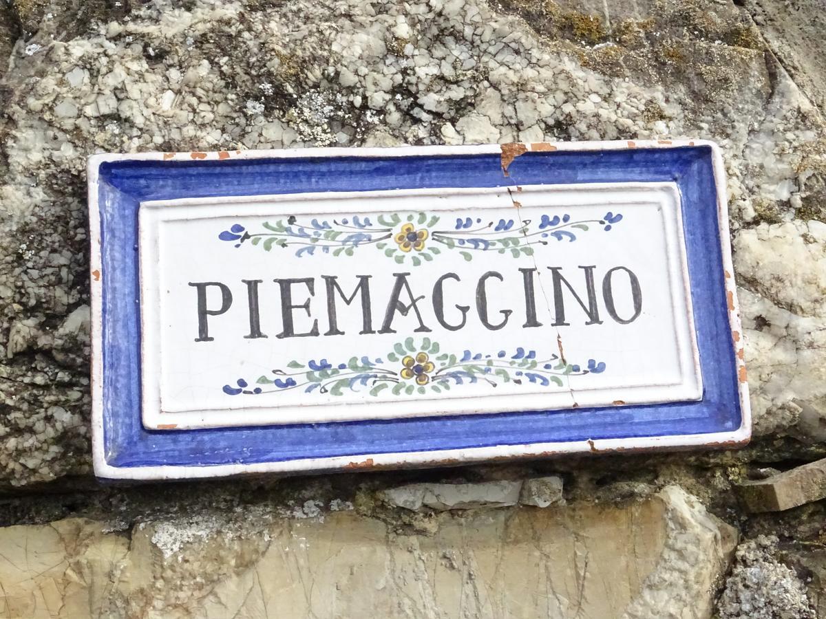 Agriturismo Piemaggino Castellina in Chianti Exteriér fotografie